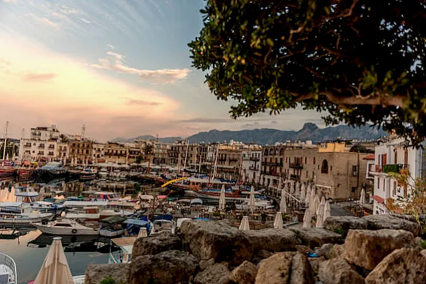 Modernización de la viticultura Modernización de la viticultura