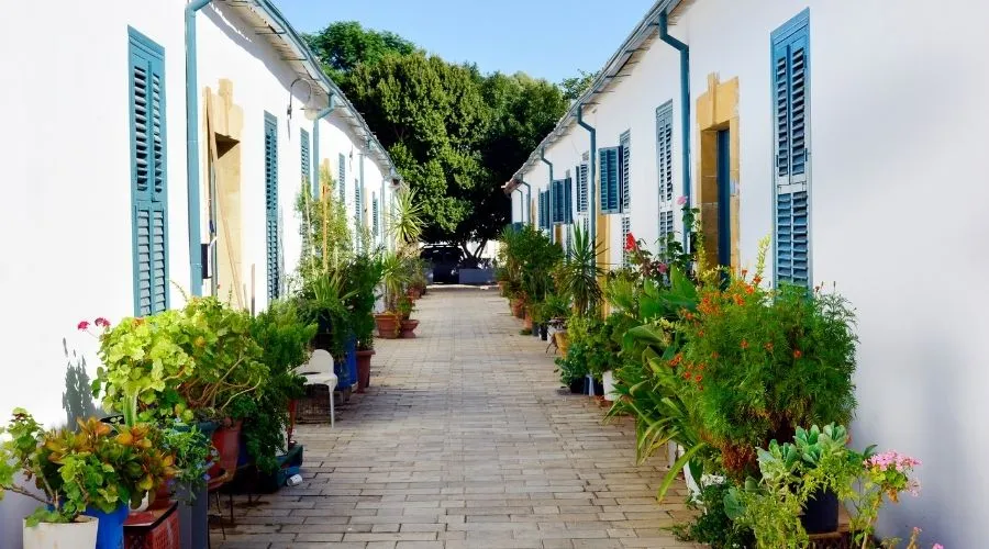 Jardines Botánicos que No Puedes Perderte en Chipre 1 Jardines Botánicos que No Puedes Perderte en Chipre